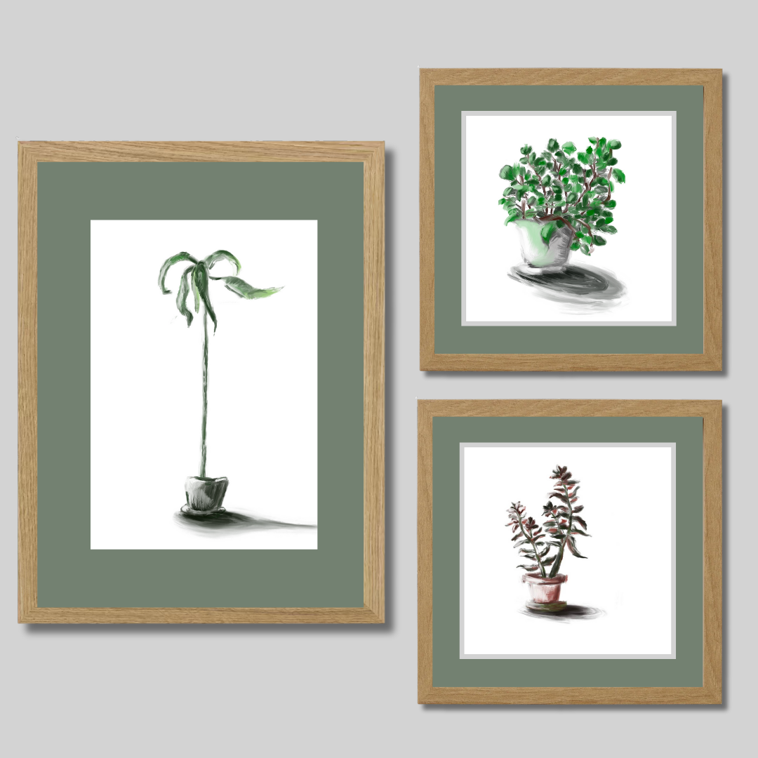 Gallery Wall Set: Plant