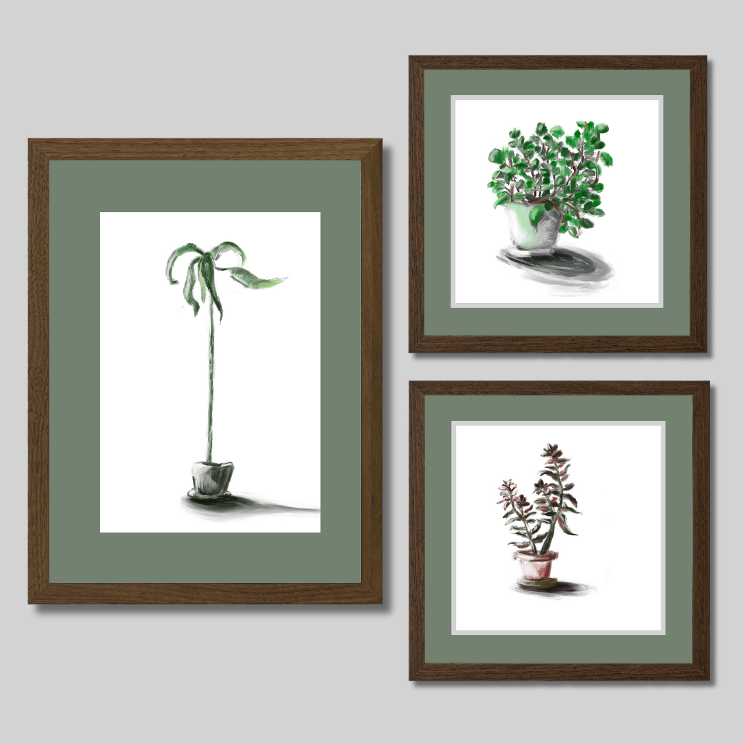 Gallery Wall Set: Plant