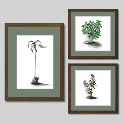 Gallery Wall Set: Plant