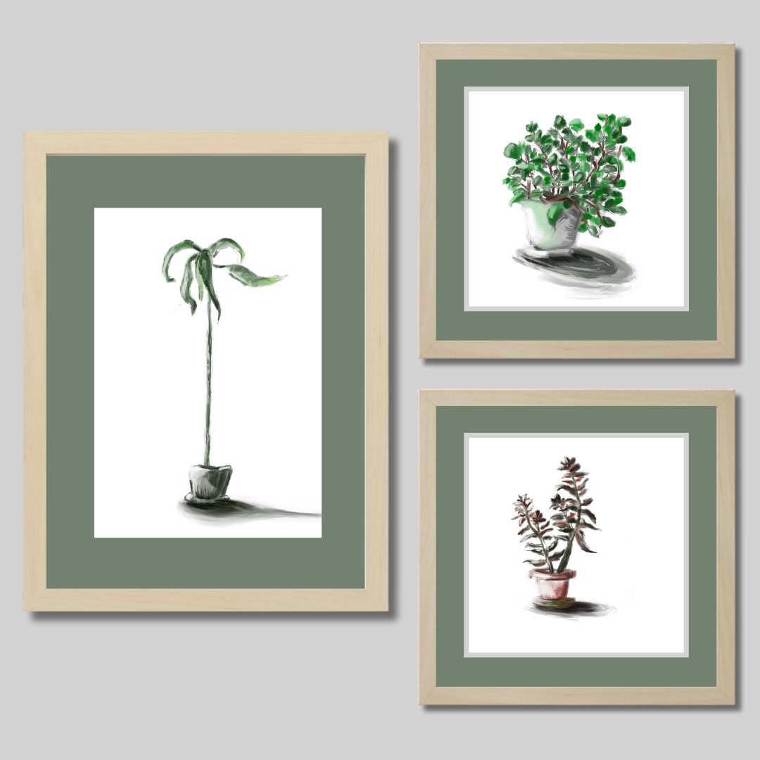Gallery Wall Set: Plant