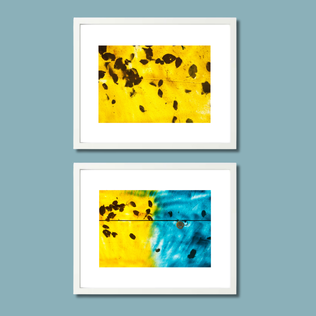 Gallery Wall Set – Harmony