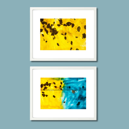 Gallery Wall Set – Harmony