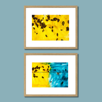 Gallery Wall Set – Harmony
