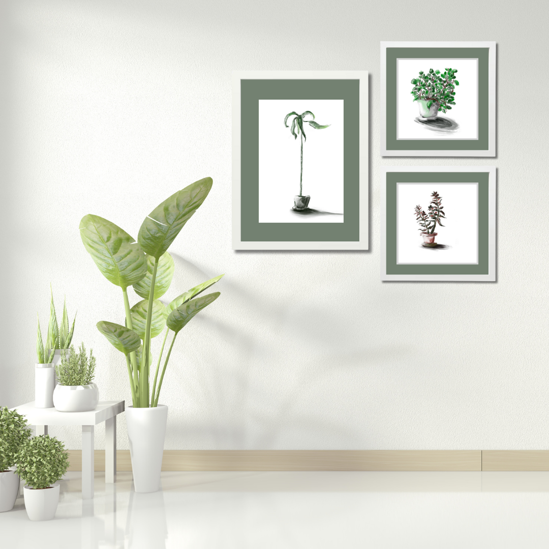 Gallery Wall Set: Plant