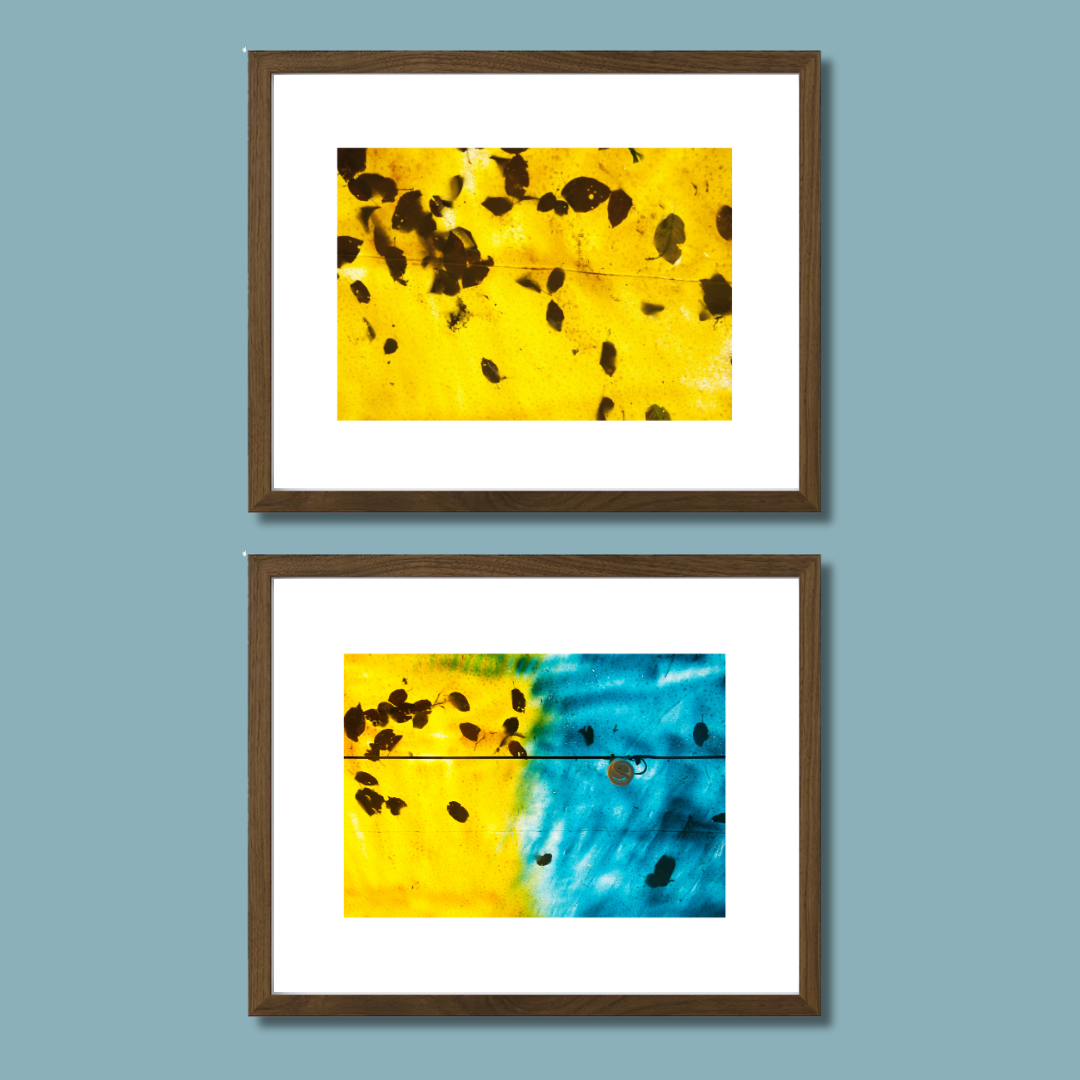 Gallery Wall Set – Harmony