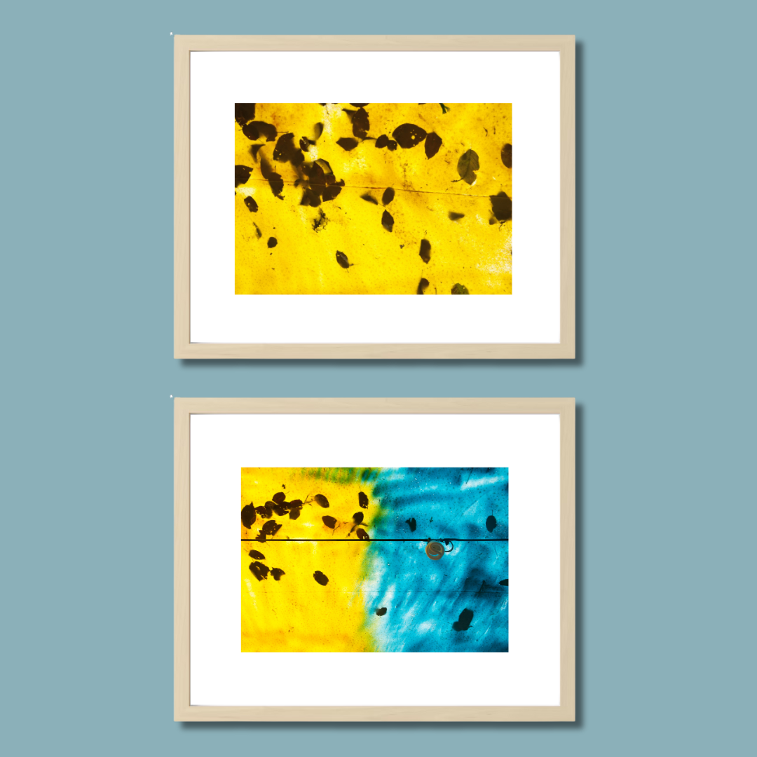 Gallery Wall Set – Harmony