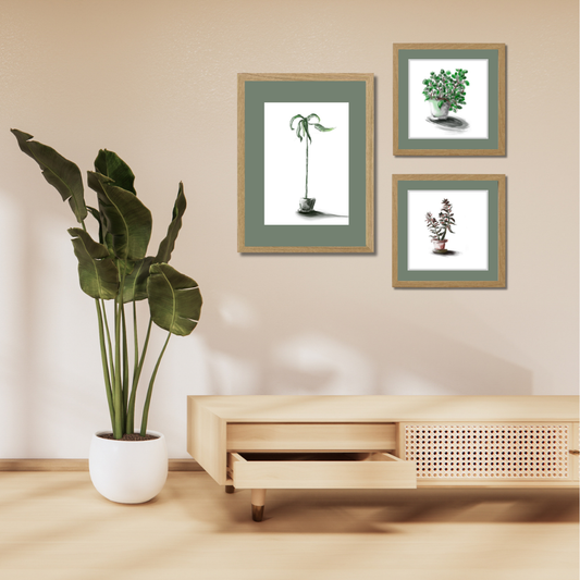 Gallery Wall Set: Plant