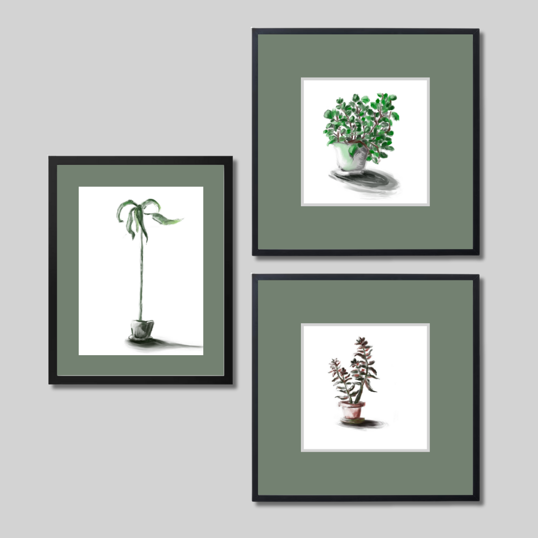 Gallery Wall Set: Plant