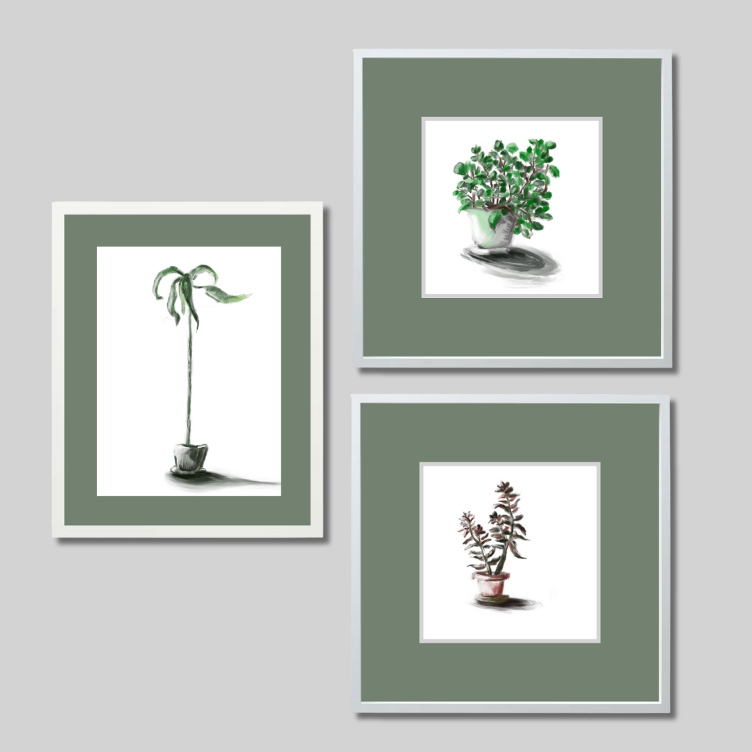 Gallery Wall Set: Plant