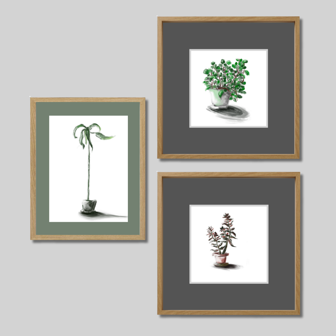Gallery Wall Set: Plant