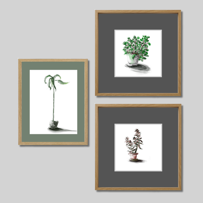 Gallery Wall Set: Plant