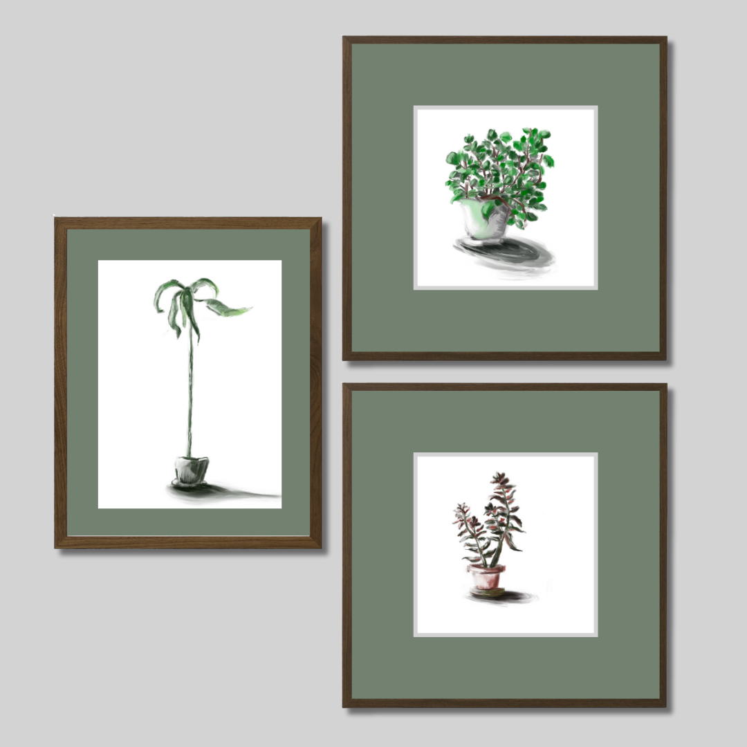 Gallery Wall Set: Plant