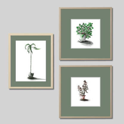 Gallery Wall Set: Plant
