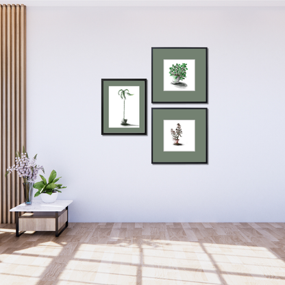 Gallery Wall Set: Plant