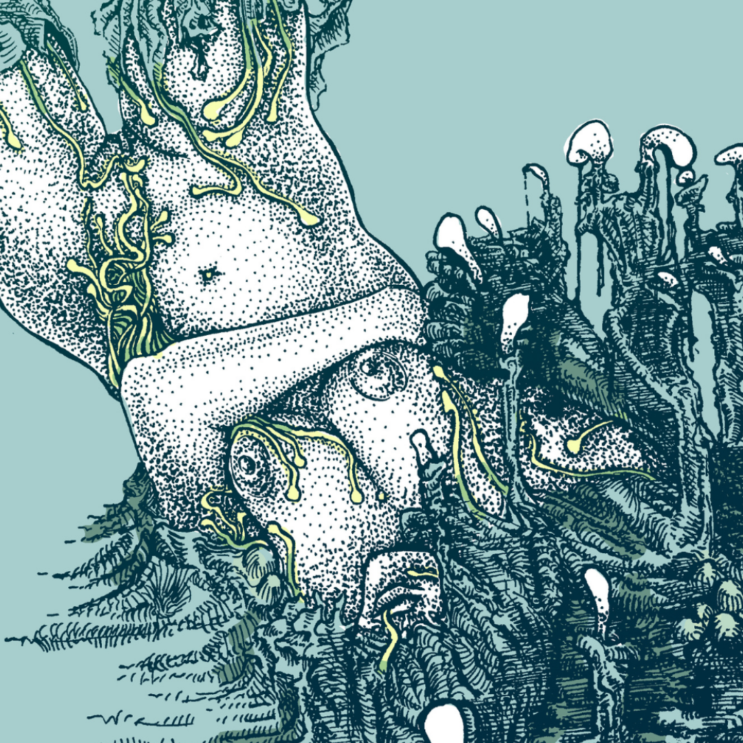 In the Embrace of Objectivisation