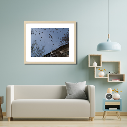 Birds flying