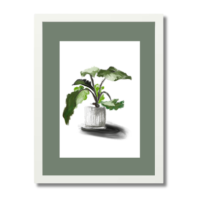 Plant 5