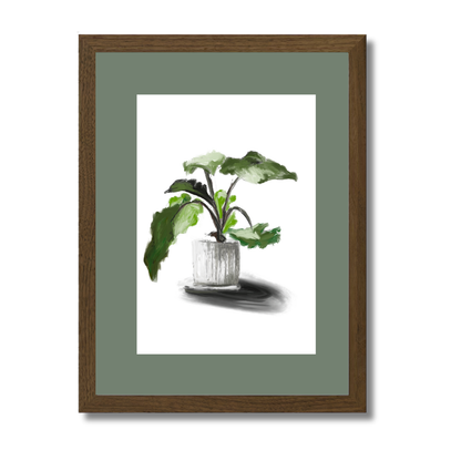 Plant 5