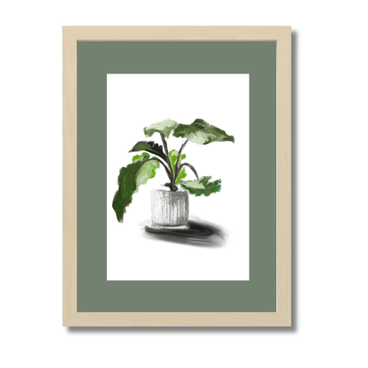 Plant 5