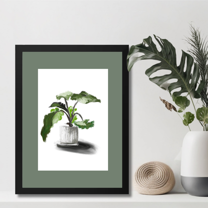 Plant 5