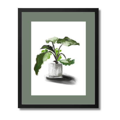 Plant 5
