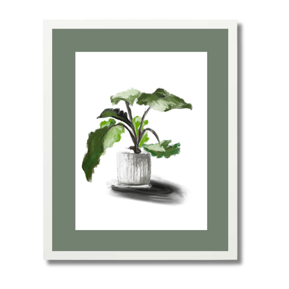 Plant 5
