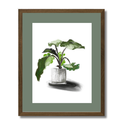 Plant 5