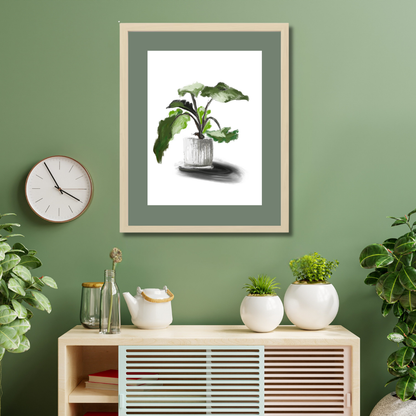 Plant 5