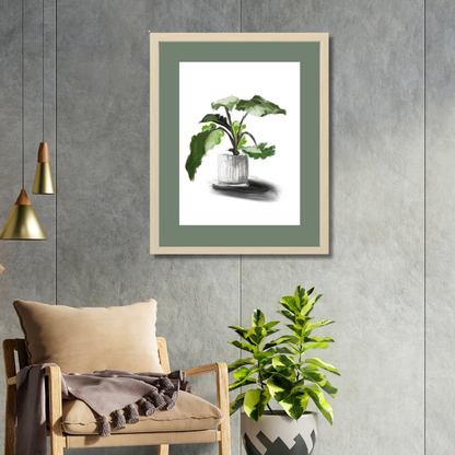 Plant 5