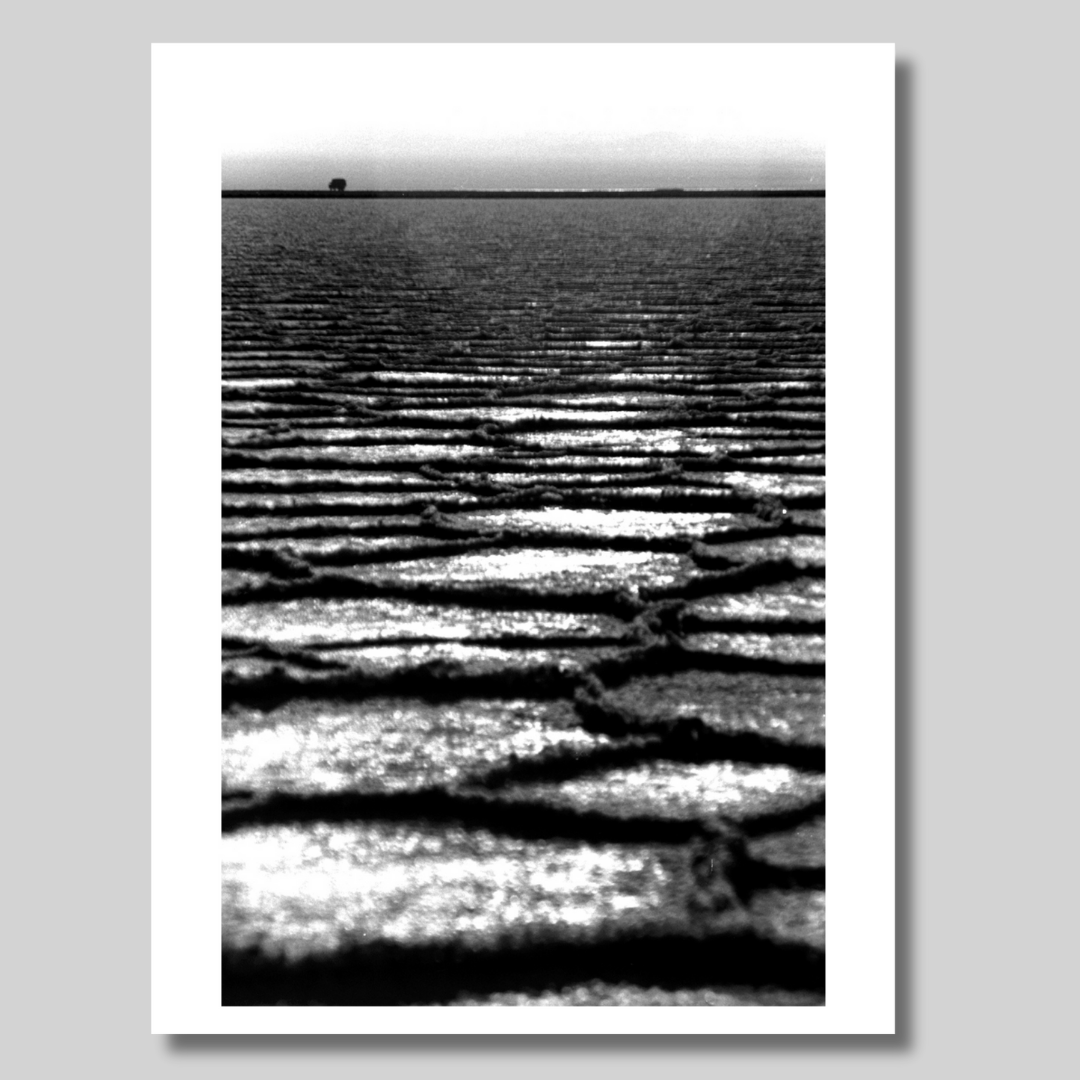 Gallery Wall Set: Far Away