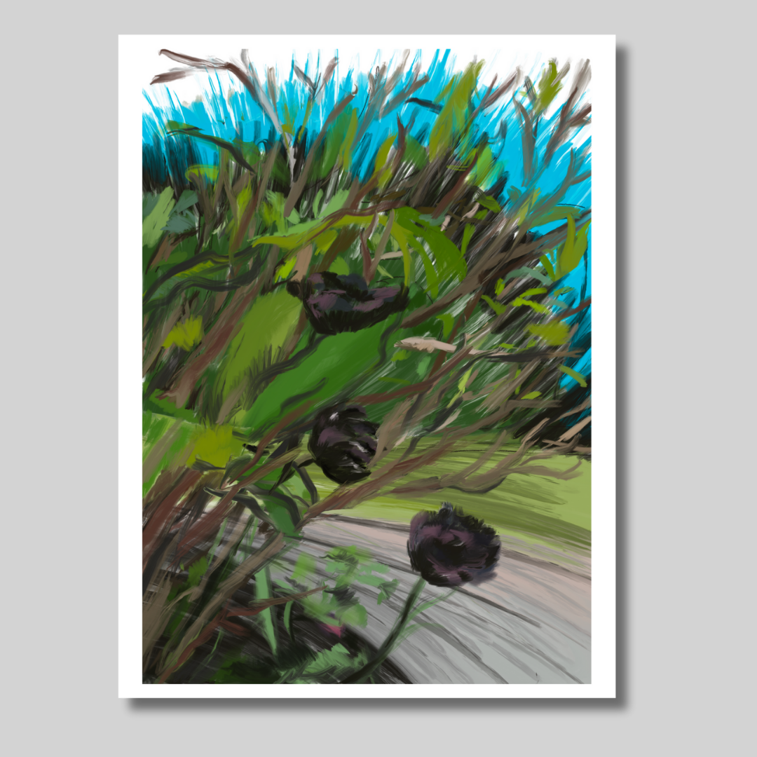 Black Tulips