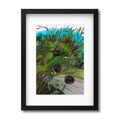 Black Tulips
