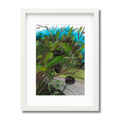 Black Tulips