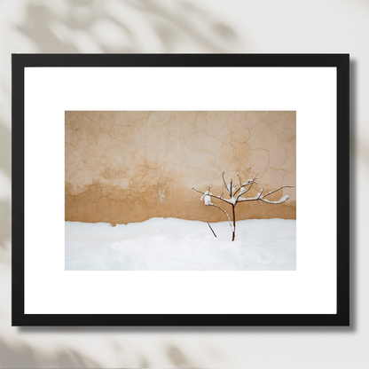 Warm Snow
