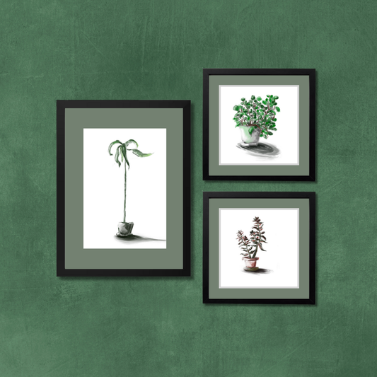 Gallery Wall Set: Plant