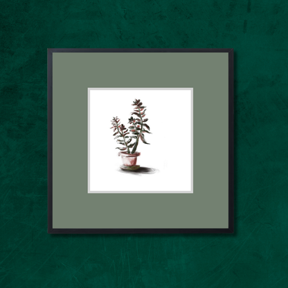 Plant 3