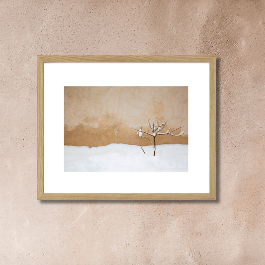 Warm Snow